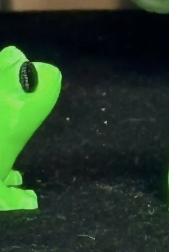 3D Printed Animal Fidget Toys - Deadwood South Boutique & Company LLC