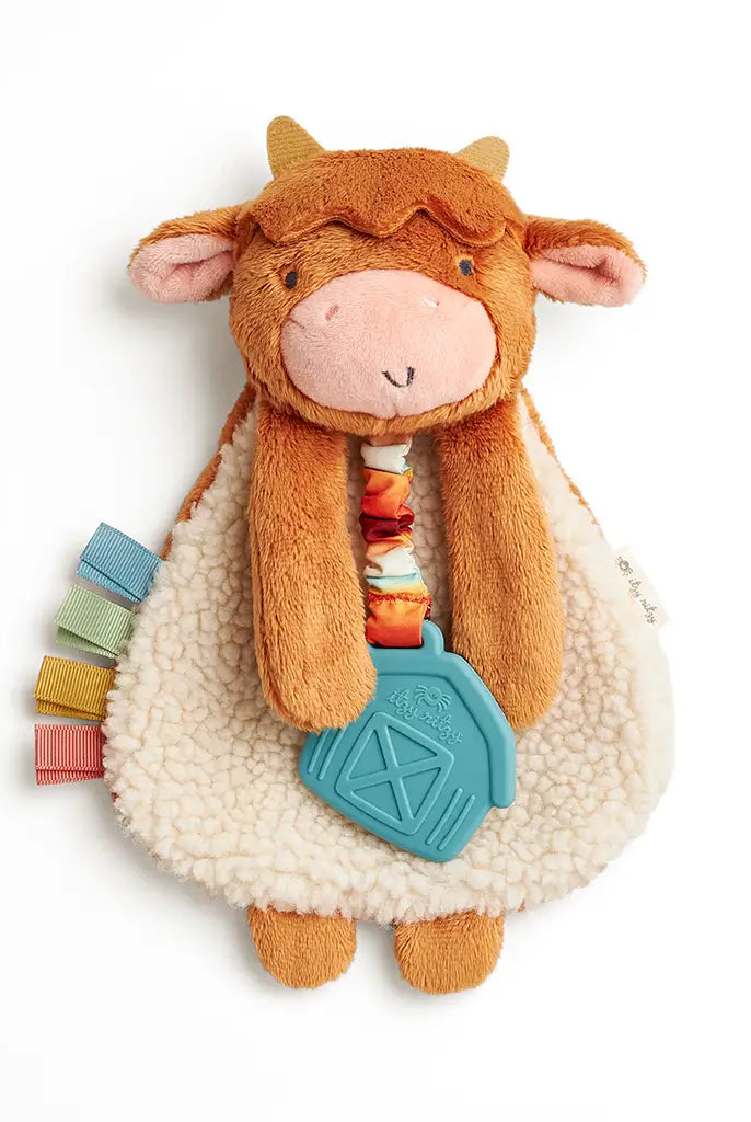 Itzy Ritzy Lovey Plush Silicone Teether Toy-Kids-Deadwood South Boutique & Company-Deadwood South Boutique, Women's Fashion Boutique in Henderson, TX