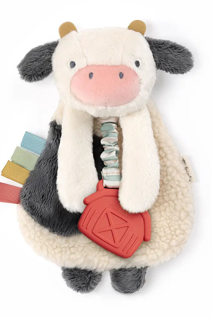 Itzy Ritzy Lovey Plush Silicone Teether Toy-Kids-Deadwood South Boutique & Company-Deadwood South Boutique, Women's Fashion Boutique in Henderson, TX