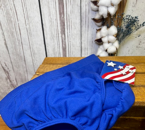 Cheer Briefs & Shorts-Shorts-Deadwood South Boutique & Company LLC-Deadwood South Boutique, Women's Fashion Boutique in Henderson, TX