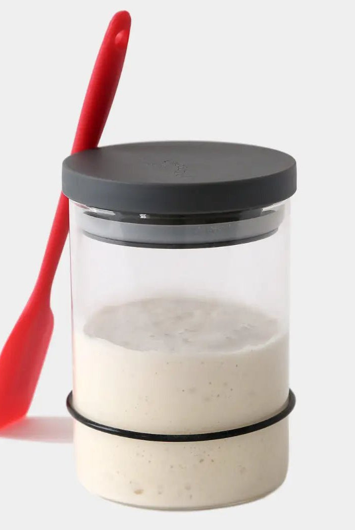 Breadtopia Sourdough Starter Kit - Deadwood South Boutique & Company LLC