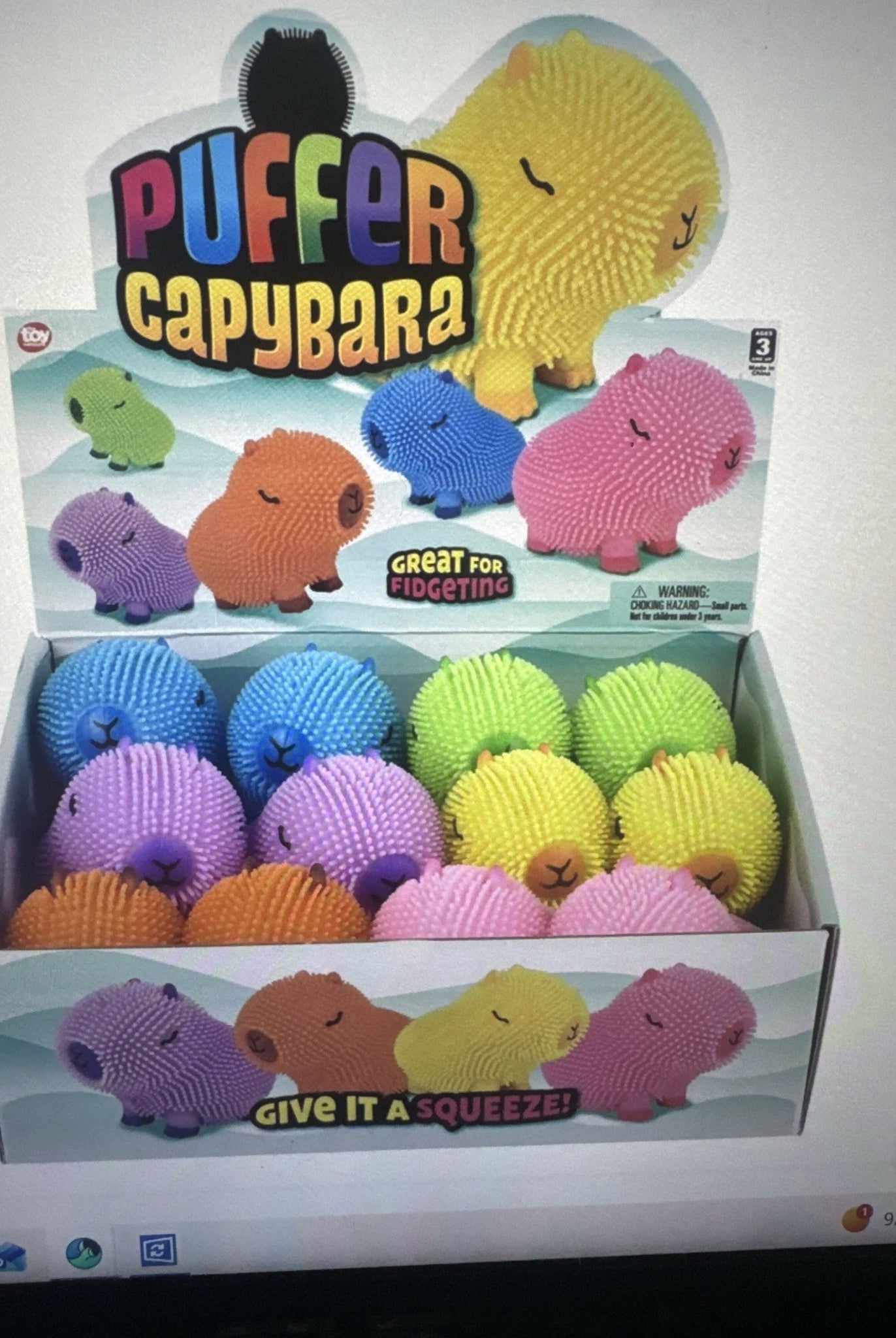 Capybara Colorful Puffer - Deadwood South Boutique & Company LLC