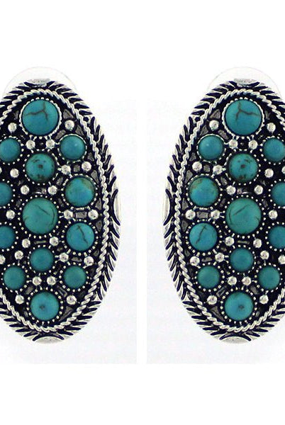 Carter Cluster Turquoise Fashion Earrings - Deadwood South Boutique & Company LLC