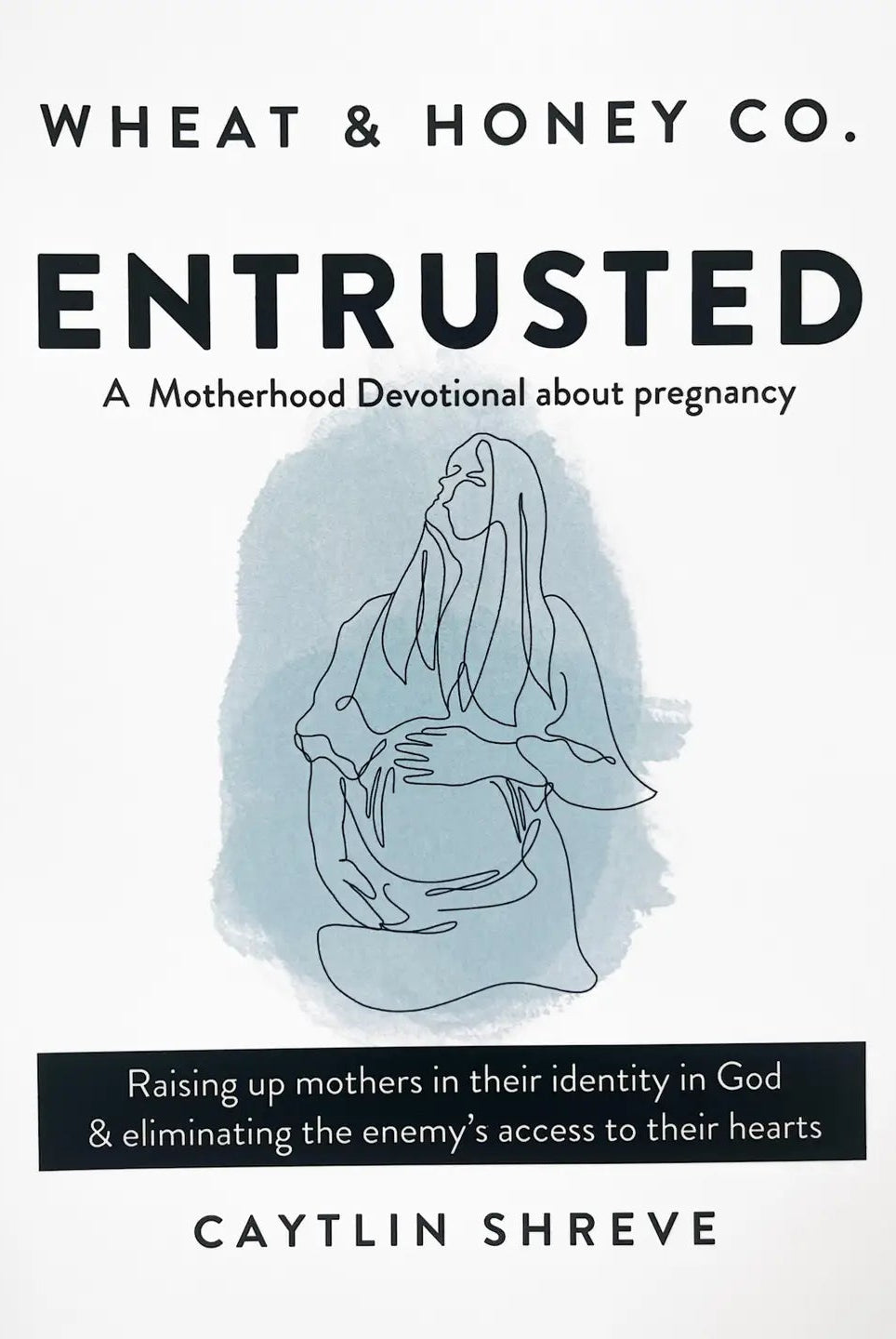 Entrusted: A Motherhood Devotional About Pregnancy - Deadwood South Boutique & Company LLC