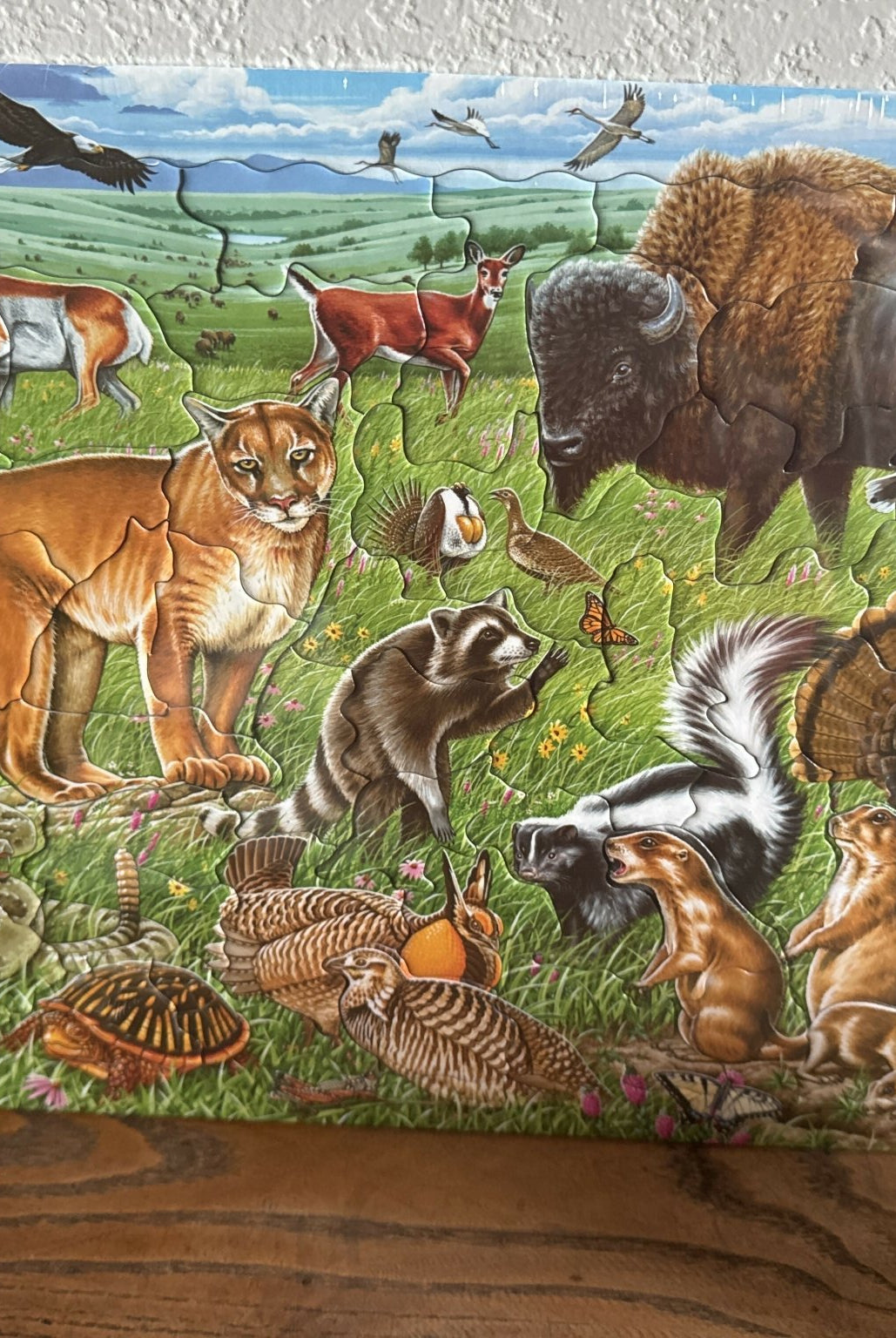 Larsen - Deadwood South Boutique & Company LLC