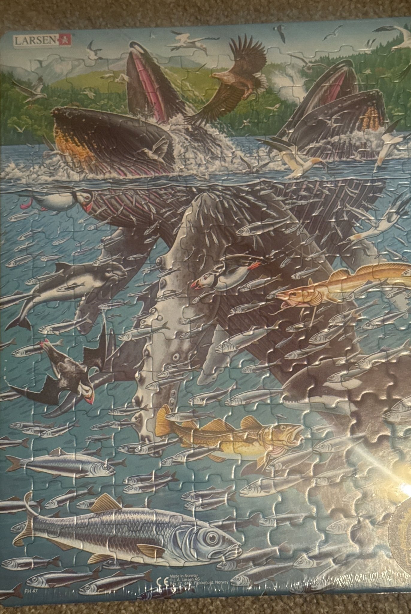 Larsen - Deadwood South Boutique & Company LLC