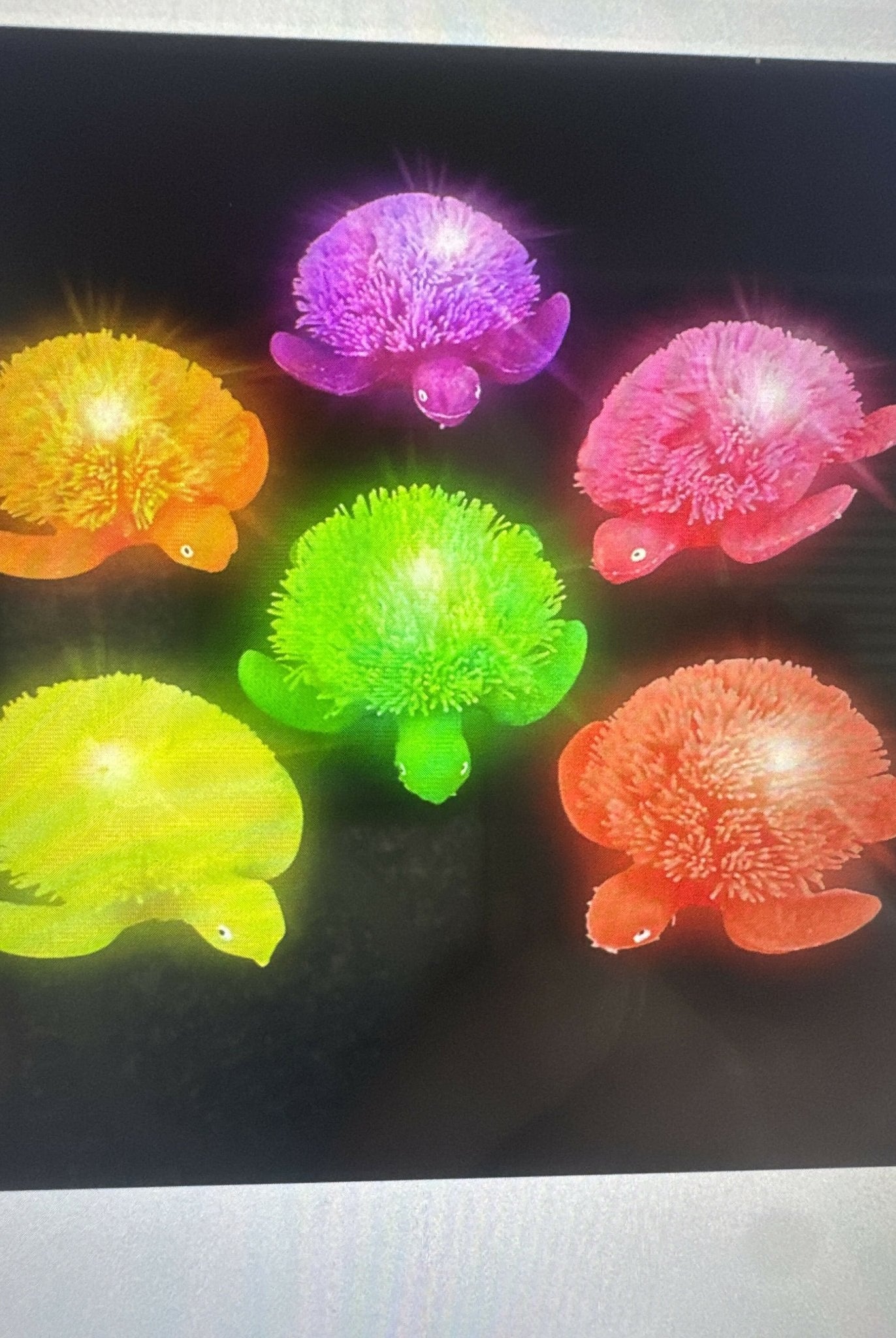 Light up puffer turtle - Deadwood South Boutique & Company LLC