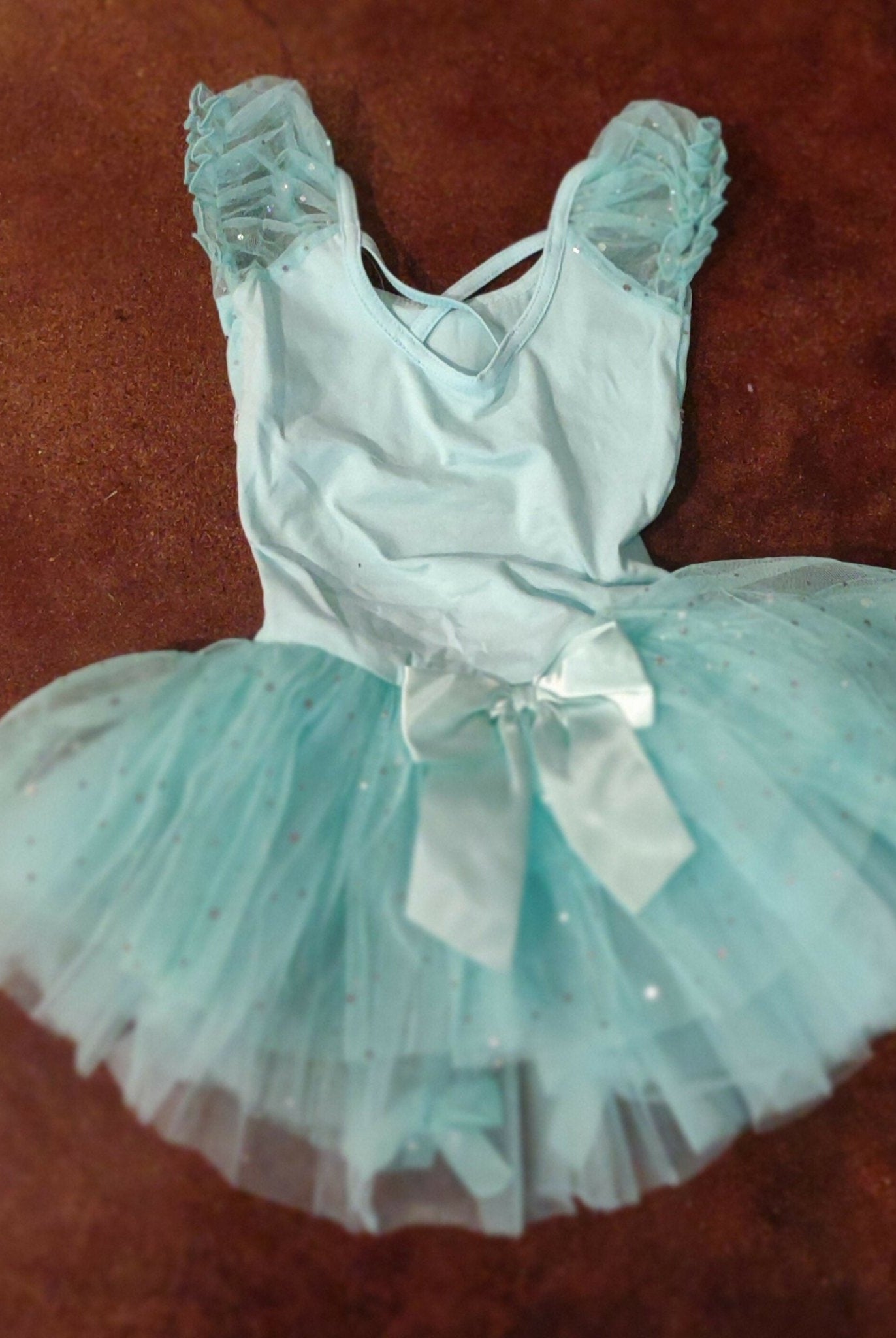 Mint Sequined Skirted Leotard - Deadwood South Boutique & Company LLC