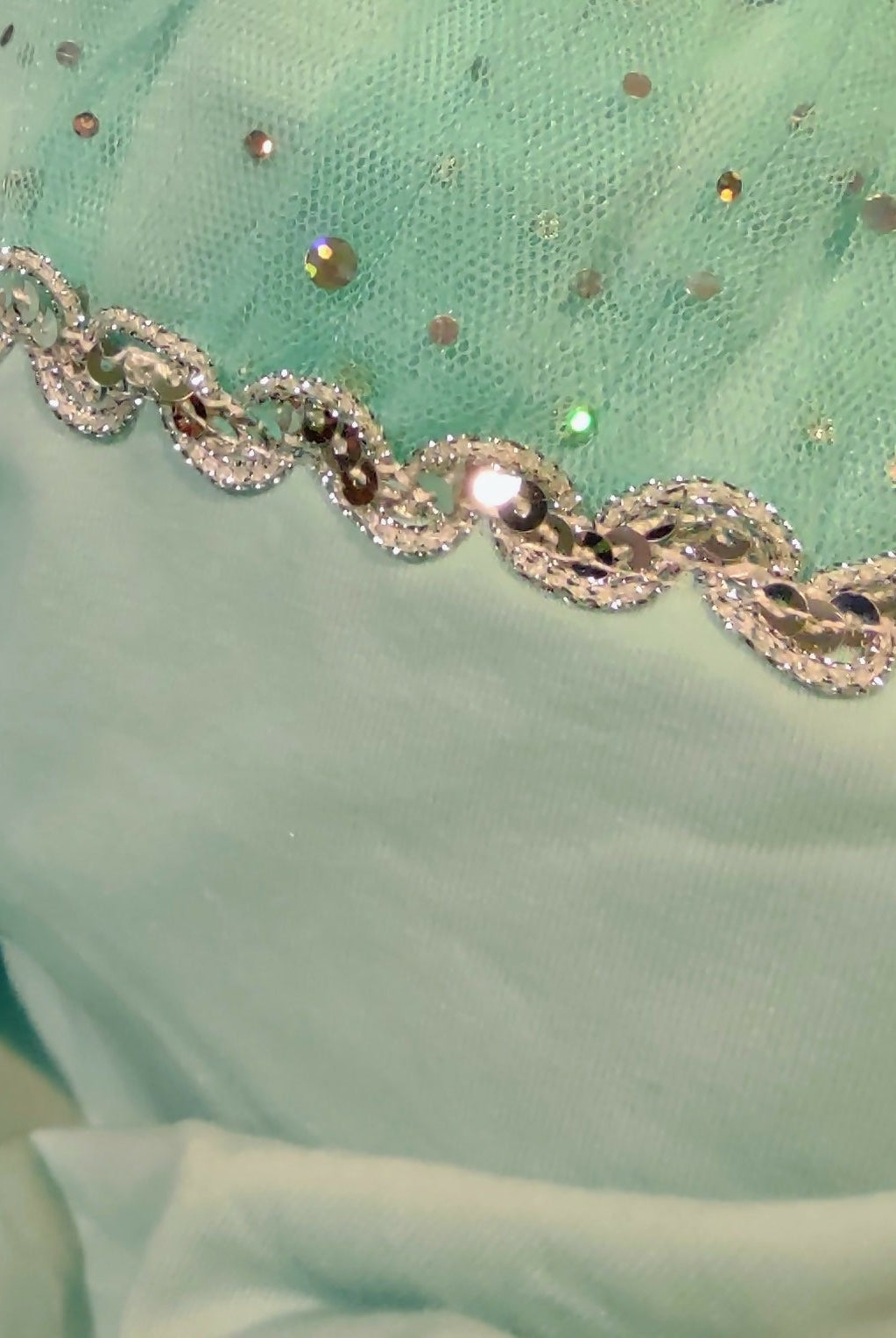 Mint Sequined Skirted Leotard - Deadwood South Boutique & Company LLC