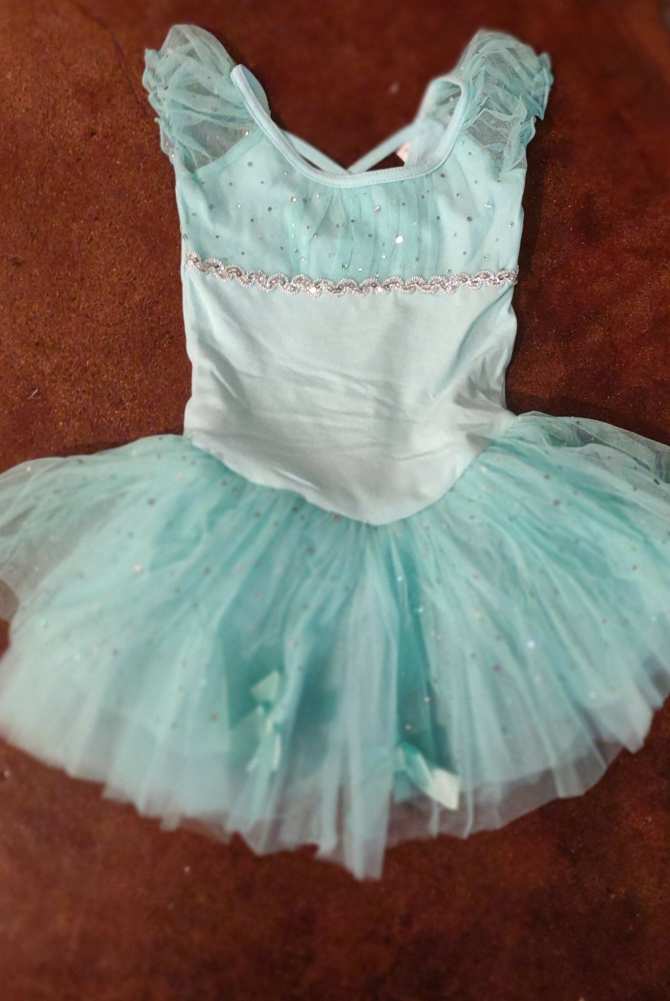 Mint Sequined Skirted Leotard - Deadwood South Boutique & Company LLC