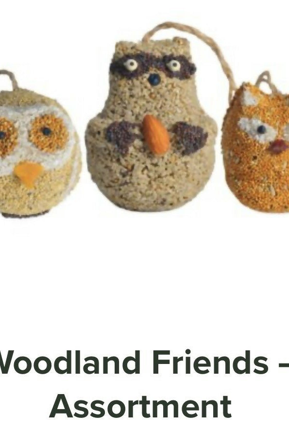 Mr.Bird - Deadwood South Boutique & Company LLC