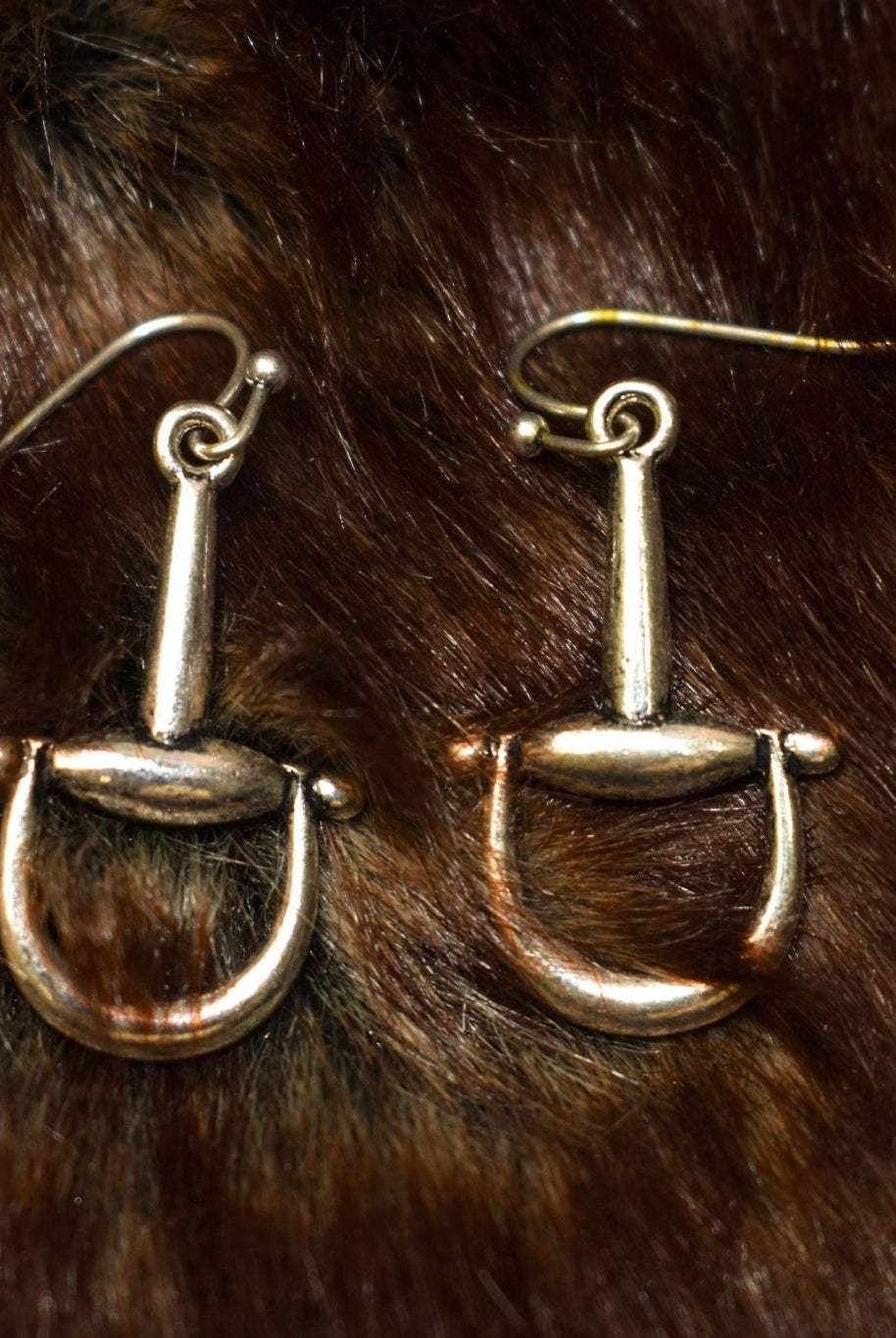 Single Bit Dangle Earrings - Deadwood South Boutique & Company LLC