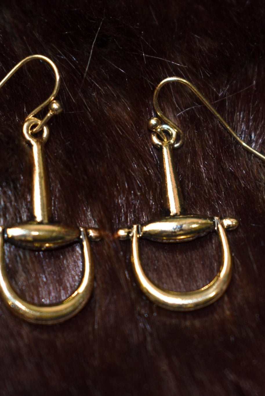 Single Bit Dangle Earrings - Deadwood South Boutique & Company LLC