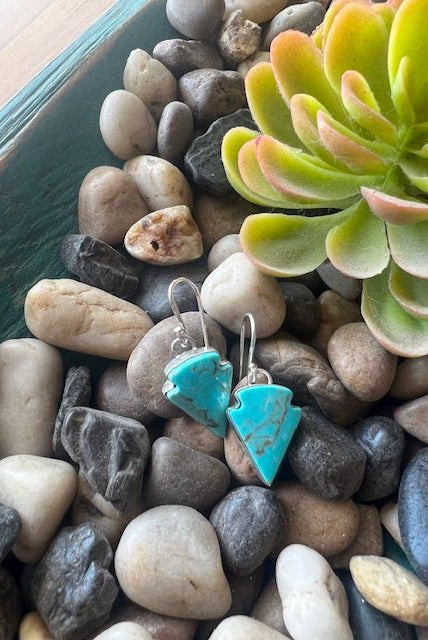 Southwest Turquoise Arrowhead Fish Hook Earrings - Deadwood South Boutique & Company LLC