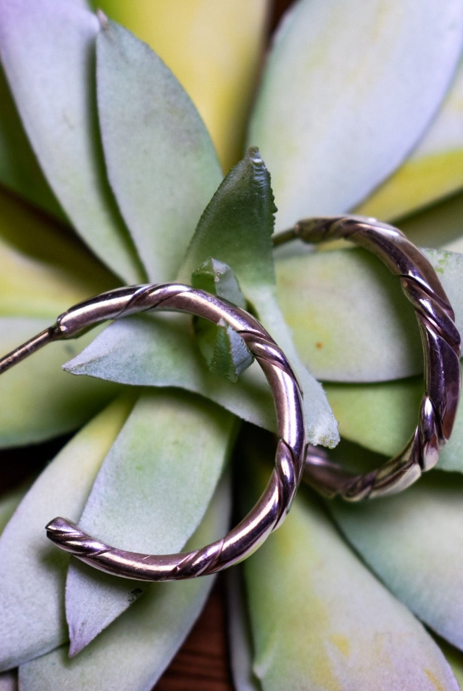 The Annie Sterling Silver Hoops - Deadwood South Boutique & Company LLC