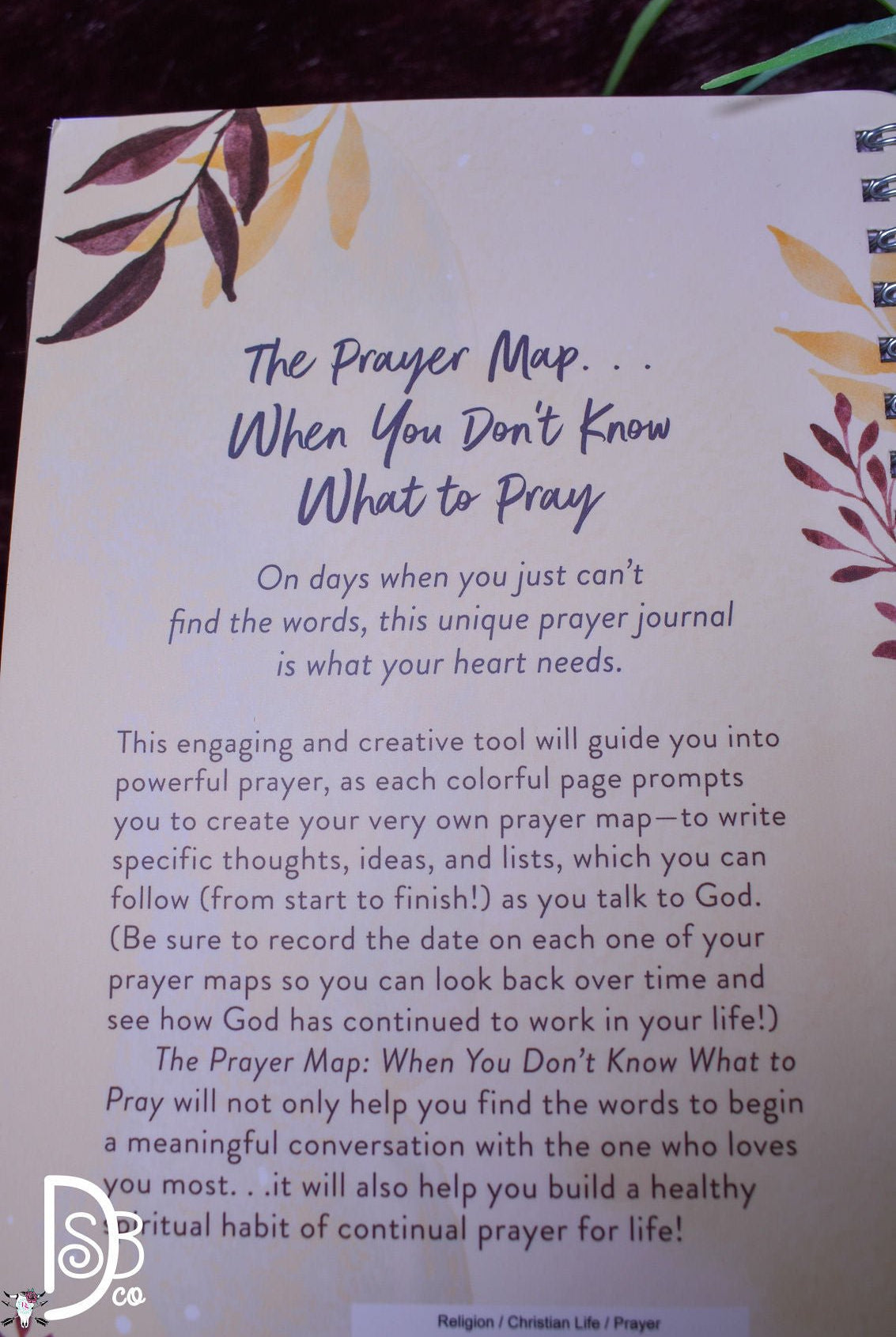 The Prayer Map: When You Don't Know What to Pray - Deadwood South Boutique & Company LLC