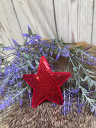 3" Sequin Star Patch-Accessories-Deadwood South Boutique & Company-Deadwood South Boutique, Women's Fashion Boutique in Henderson, TX