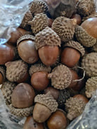 Acorns - Deadwood South Boutique & Company LLC