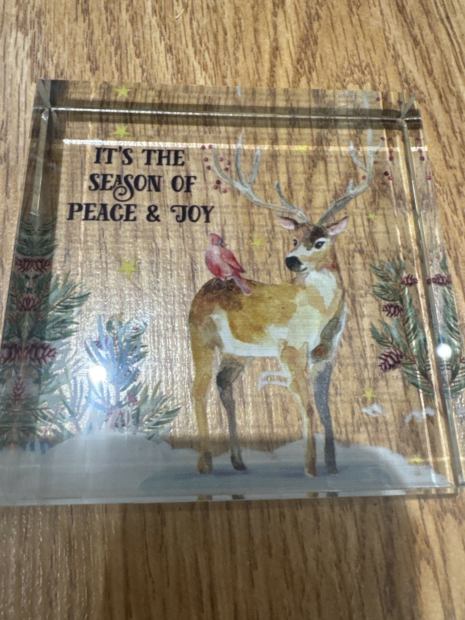 Beveled Glass Blocks - Deadwood South Boutique & Company LLC