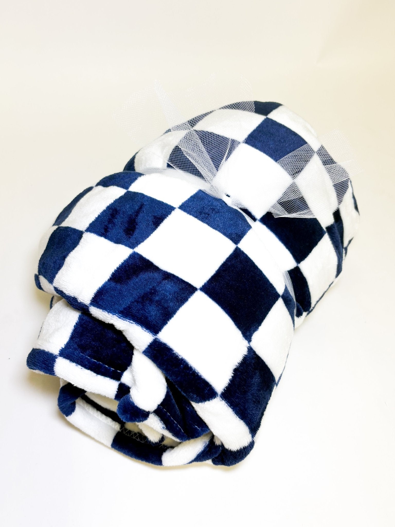 Blue Checkered Blanket - Deadwood South Boutique & Company LLC