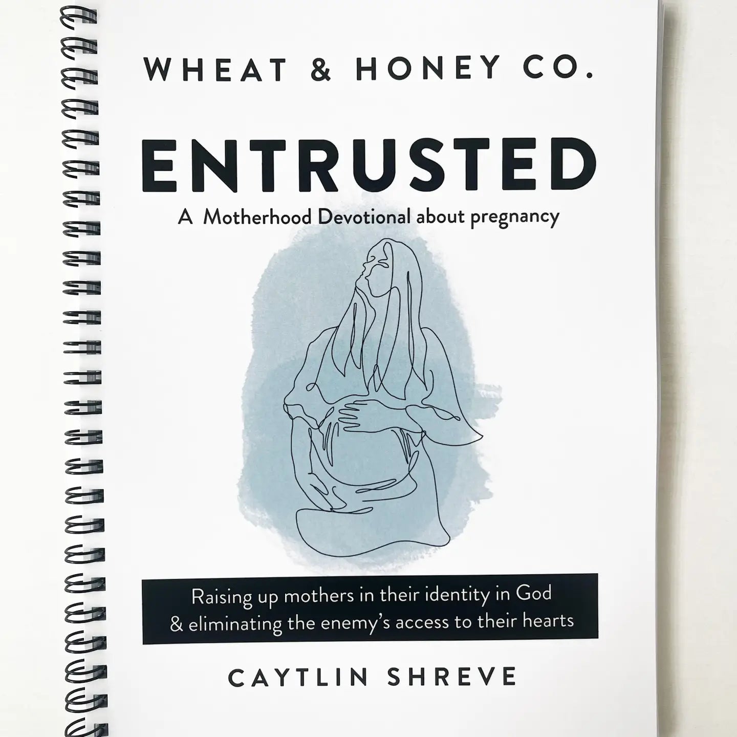 Entrusted: A Motherhood Devotional About Pregnancy - Deadwood South Boutique & Company LLC