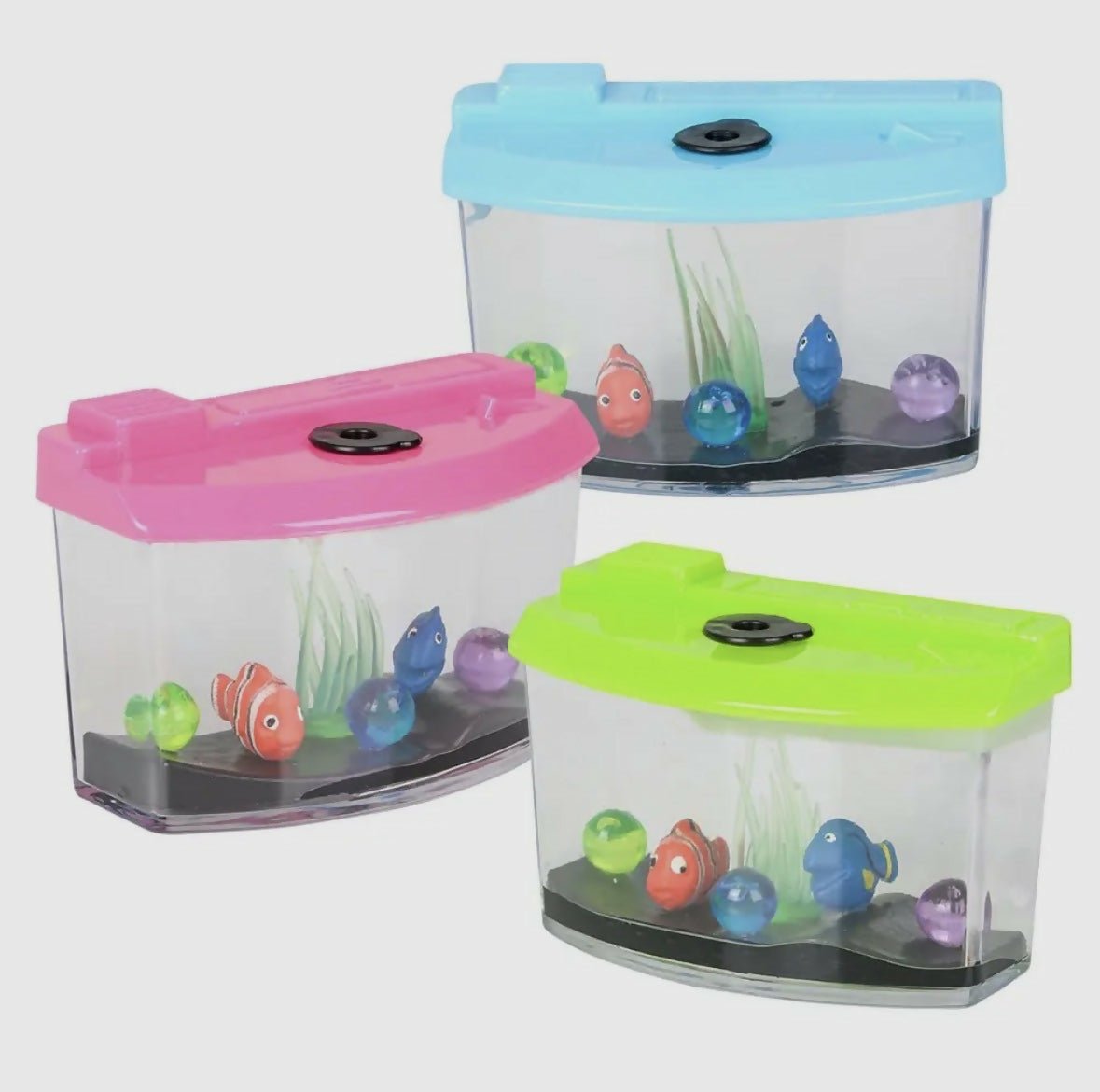 growing aquarium - Deadwood South Boutique & Company LLC