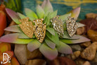 Hammered Arrowhead Earrings - Deadwood South Boutique & Company LLC