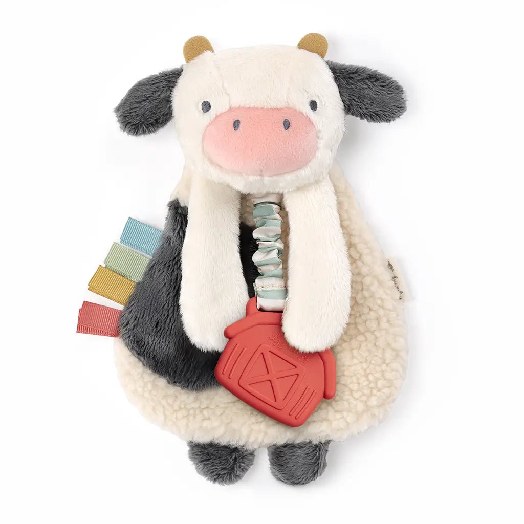 Itzy Ritzy Lovey Plush Silicone Teether Toy - Deadwood South Boutique & Company LLC