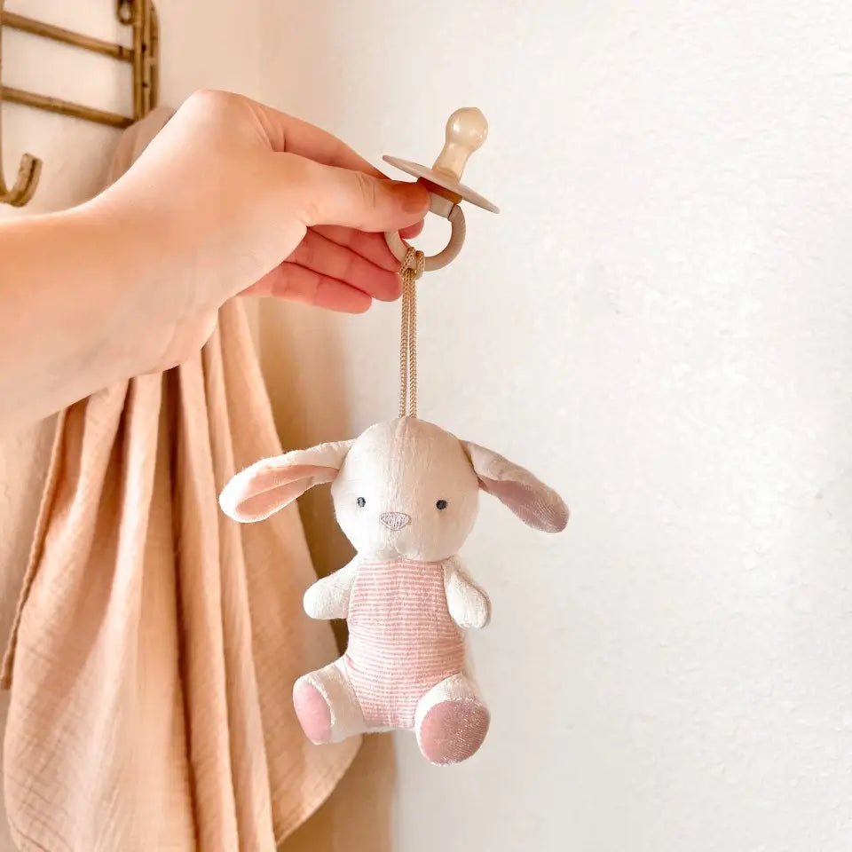 Itzy Ritzy Pacifier & Stuffed Animal Bitzy Pal - Deadwood South Boutique & Company LLC