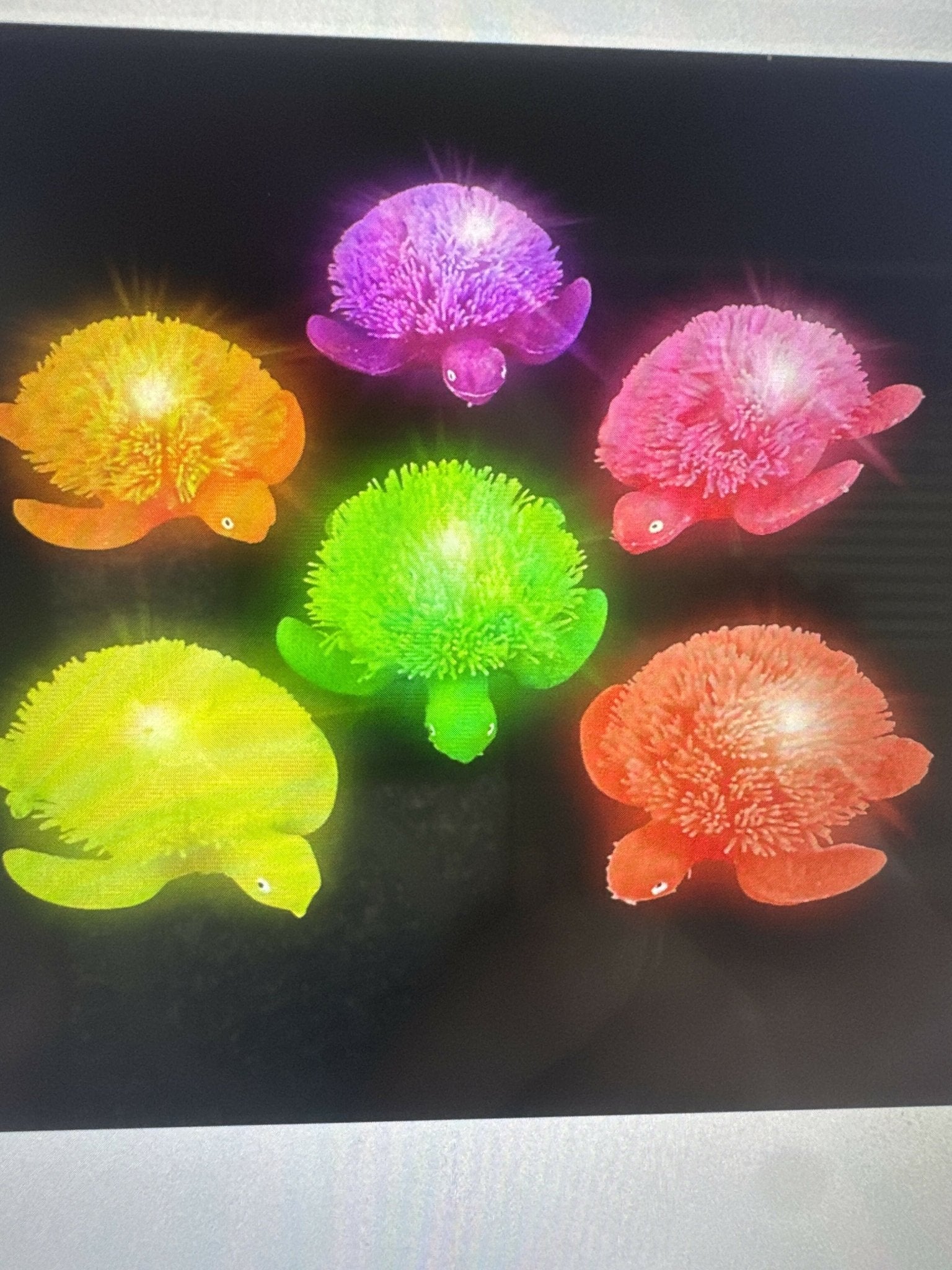 Light up puffer turtle - Deadwood South Boutique & Company LLC