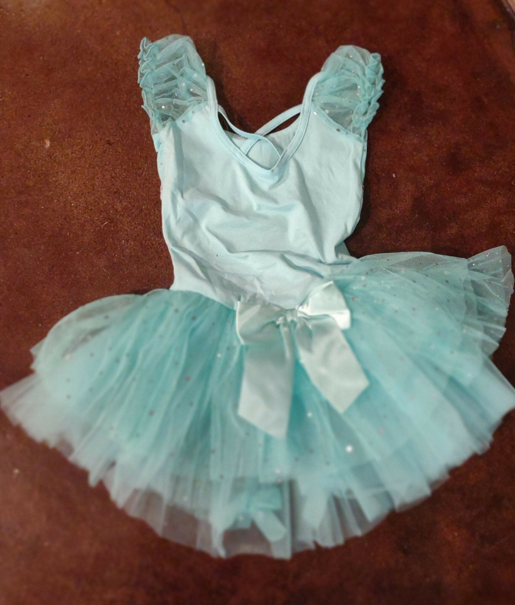 Mint Sequined Skirted Leotard - Deadwood South Boutique & Company LLC