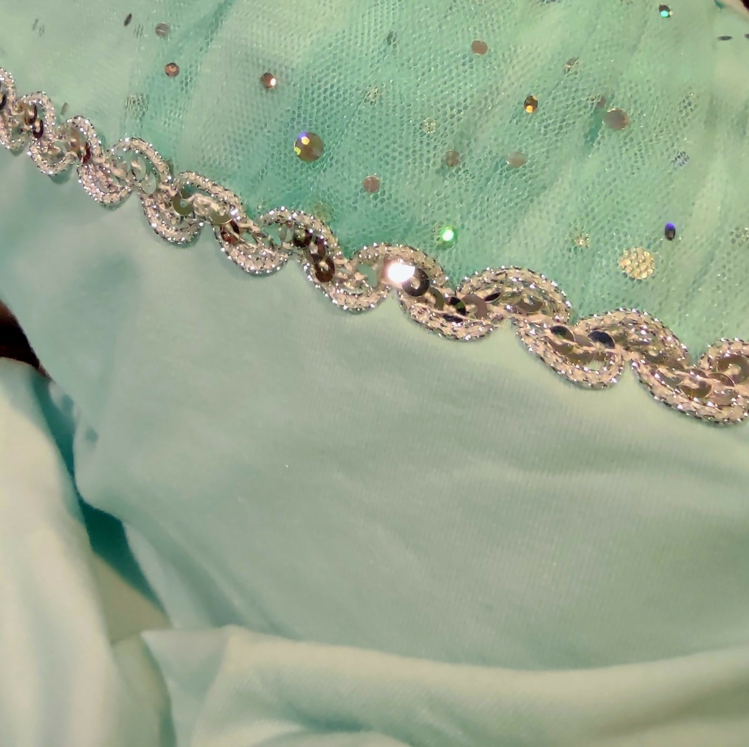 Mint Sequined Skirted Leotard - Deadwood South Boutique & Company LLC