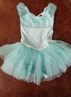 Mint Sequined Skirted Leotard - Deadwood South Boutique & Company LLC