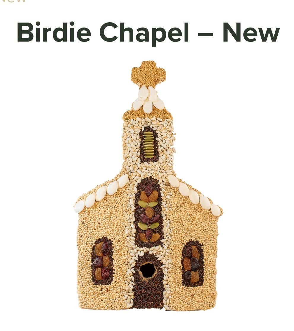 Mr.Bird - Deadwood South Boutique & Company LLC