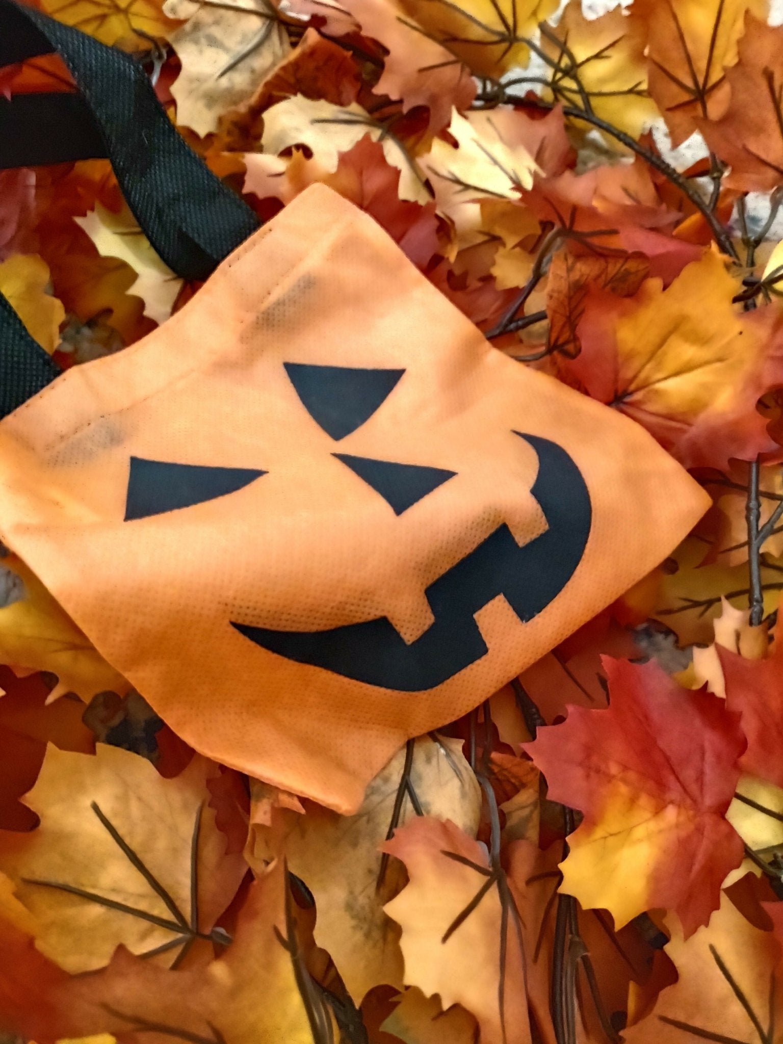 Pumpkin Bag - Deadwood South Boutique & Company LLC