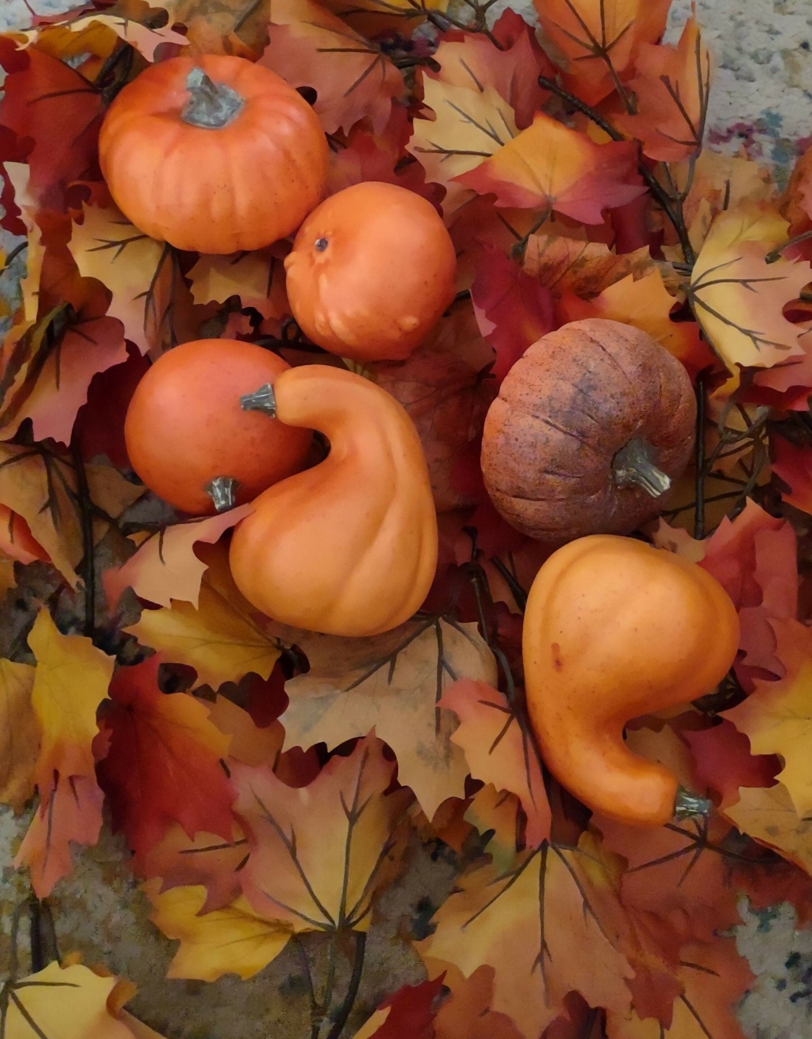 Pumpkin Gourd Mix - Deadwood South Boutique & Company LLC