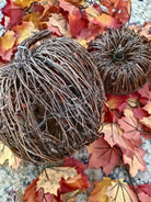Vine Pumpkin Set - Deadwood South Boutique & Company LLC