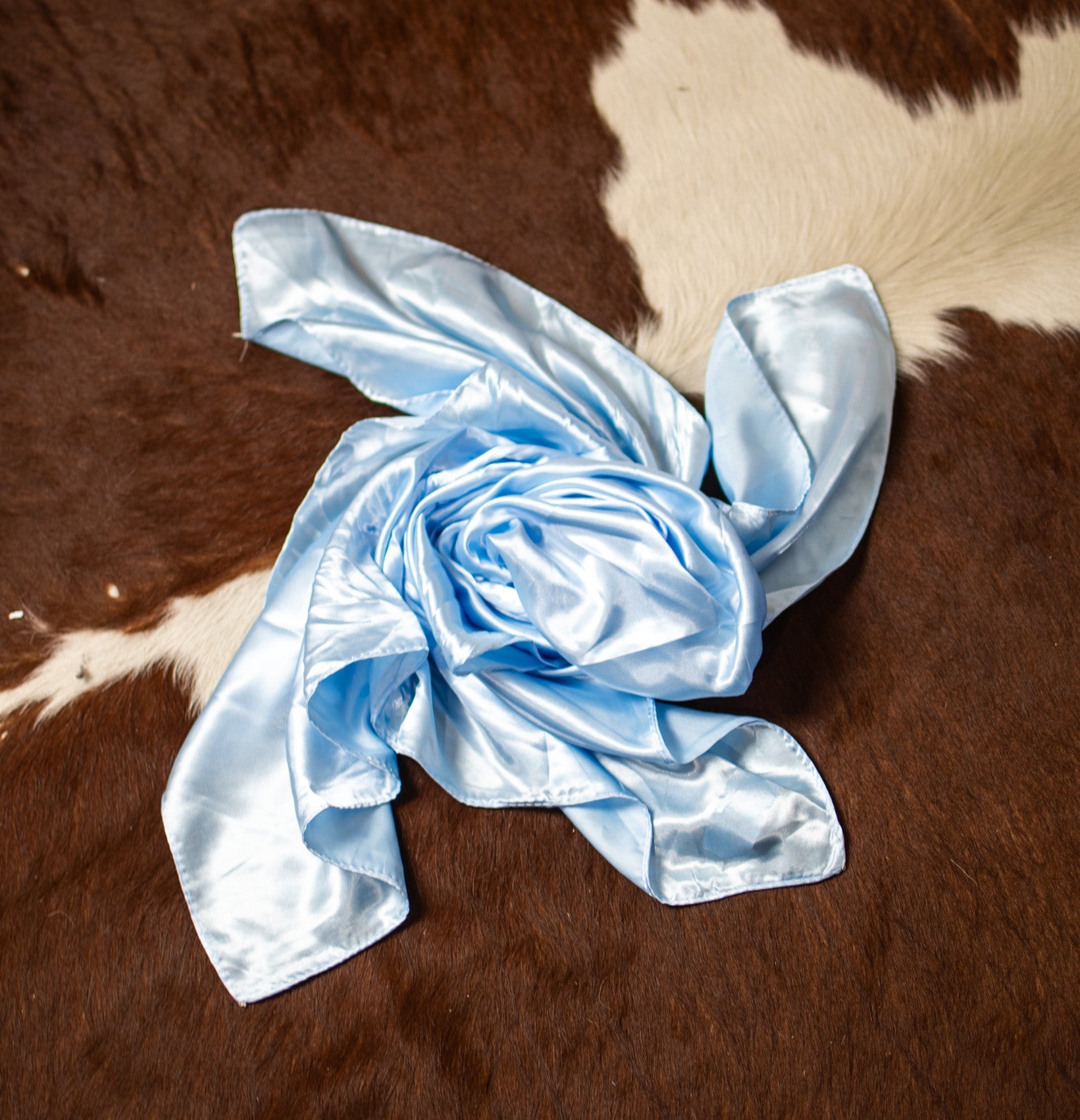 Wynonna Solid Color Wild Rags - Deadwood South Boutique & Company LLC