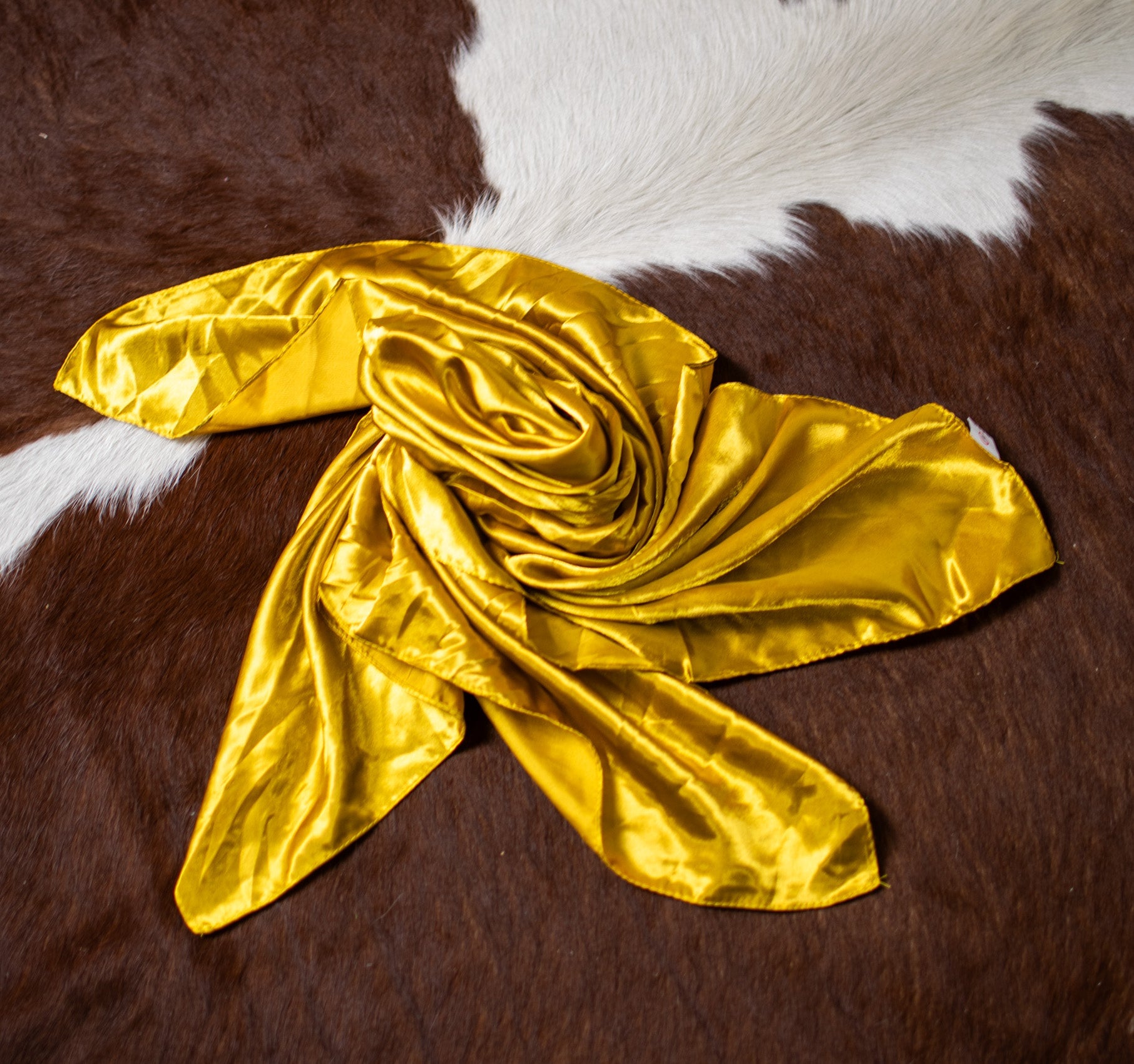 Wynonna Solid Color Wild Rags - Deadwood South Boutique & Company LLC