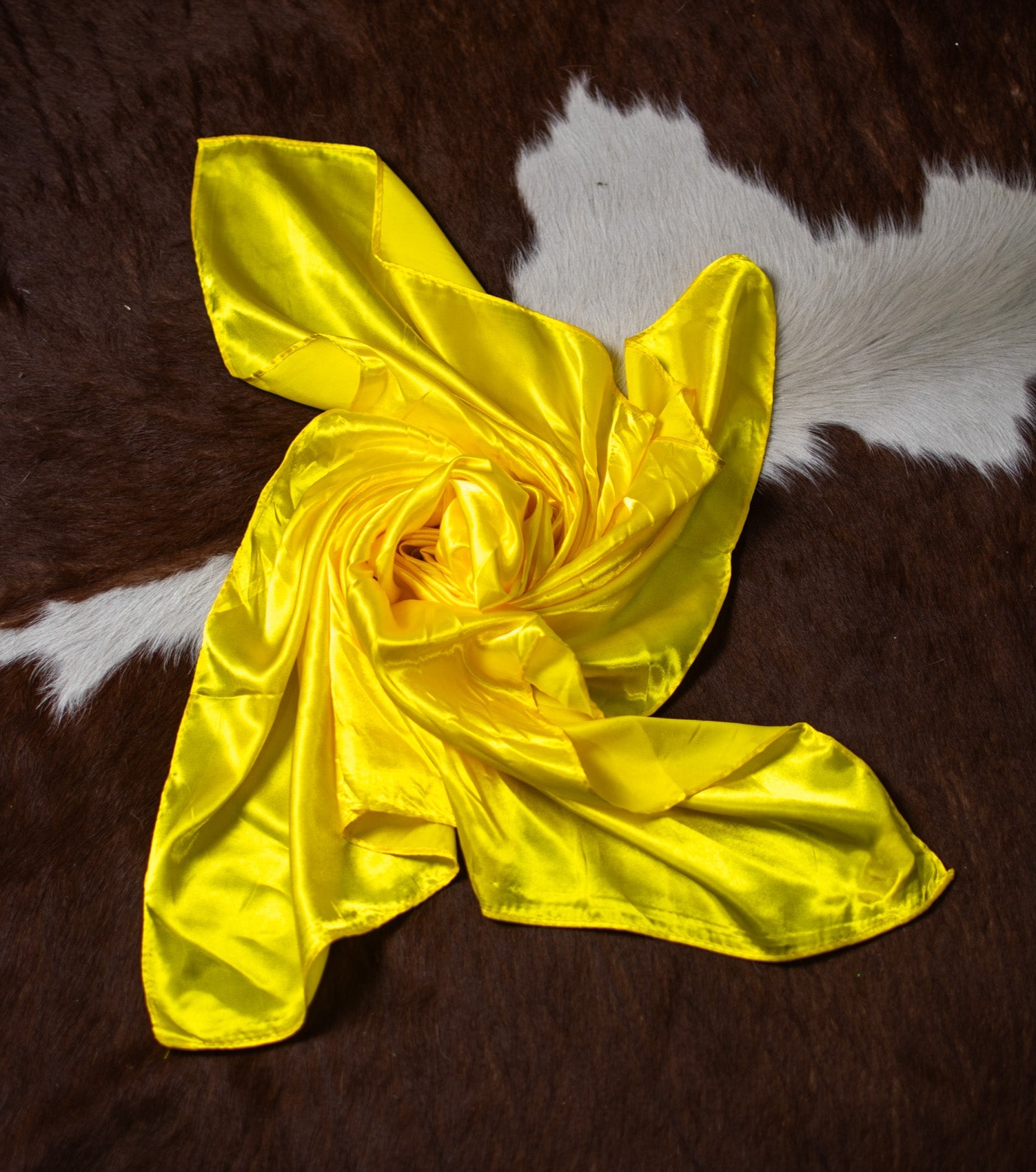 Wynonna Solid Color Wild Rags - Deadwood South Boutique & Company LLC