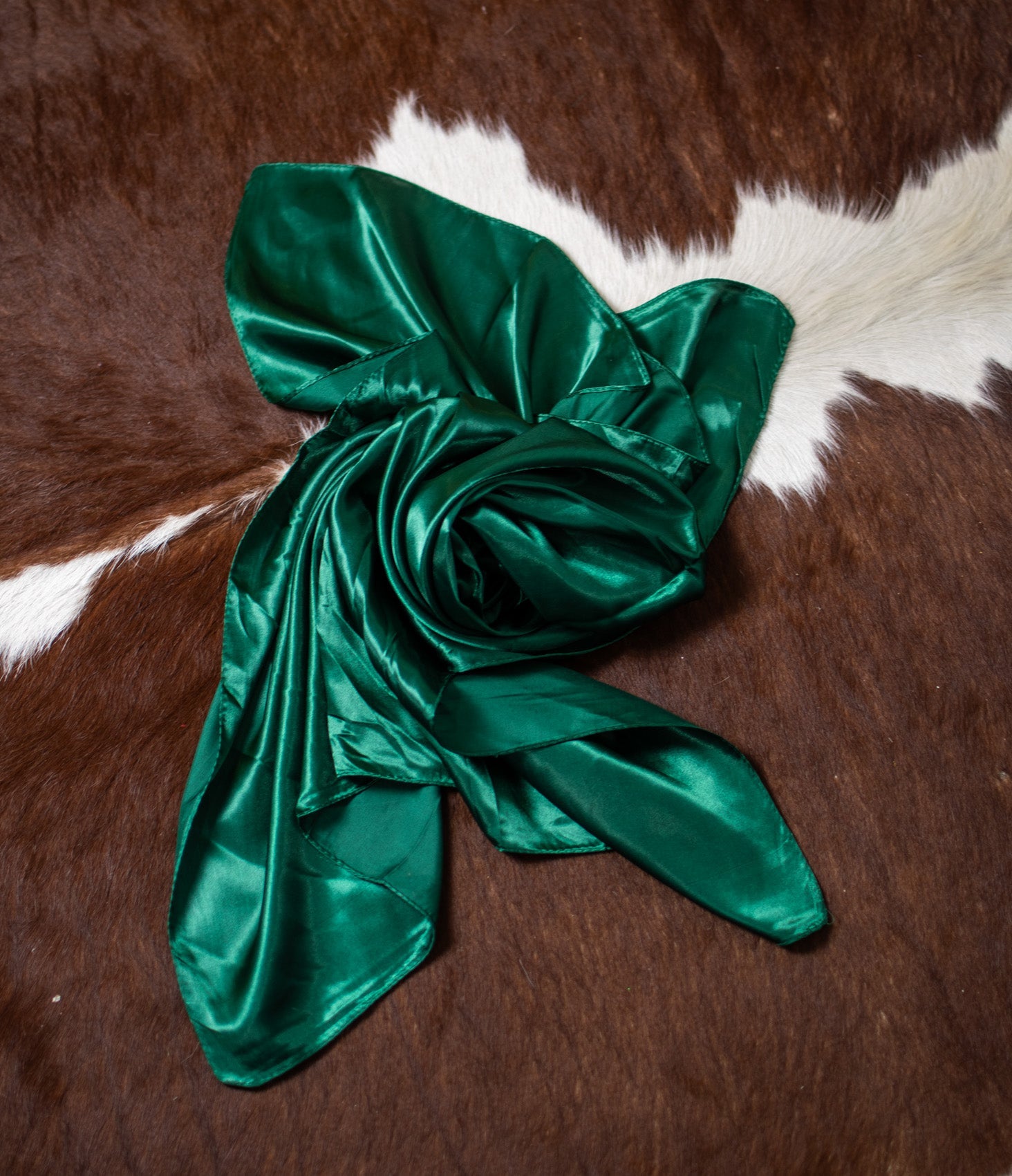 Wynonna Solid Color Wild Rags - Deadwood South Boutique & Company LLC