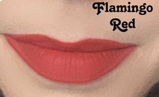 VFX Elite Matte Liquid Lipstick Limited Edition Flamingo Red 12