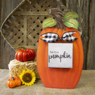 RTC Display Pumpkin-Home Decor-Deadwood South Boutique & Company-Deadwood South Boutique, Women's Fashion Boutique in Henderson, TX