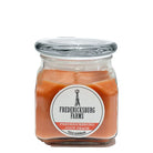 Fredericksburg Farms Juicy Peach 10oz Candle-Candles-Deadwood South Boutique & Company-Deadwood South Boutique, Women's Fashion Boutique in Henderson, TX