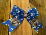 Spirit Bows Pony