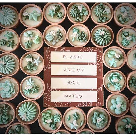 Mini Succulent Candles-Candles-Deadwood South Boutique & Company-Deadwood South Boutique, Women's Fashion Boutique in Henderson, TX